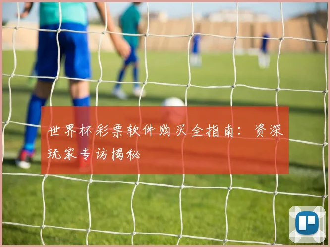 世界杯彩票软件购买全指南:资深玩家专访揭秘
