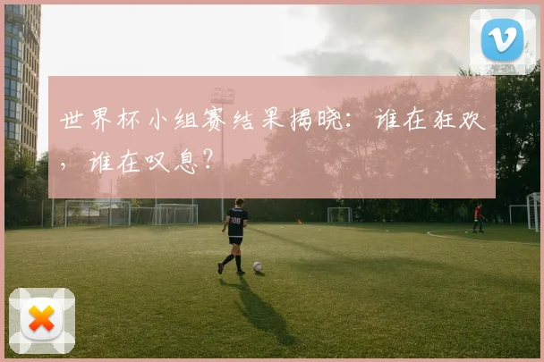 世界杯小组赛结果揭晓：谁在狂欢，谁在叹息？