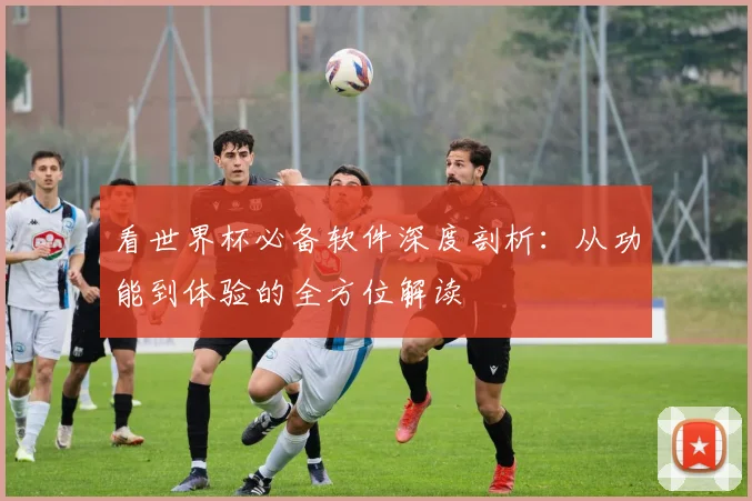 看世界杯必备软件深度剖析：从功能到体验的全方位解读