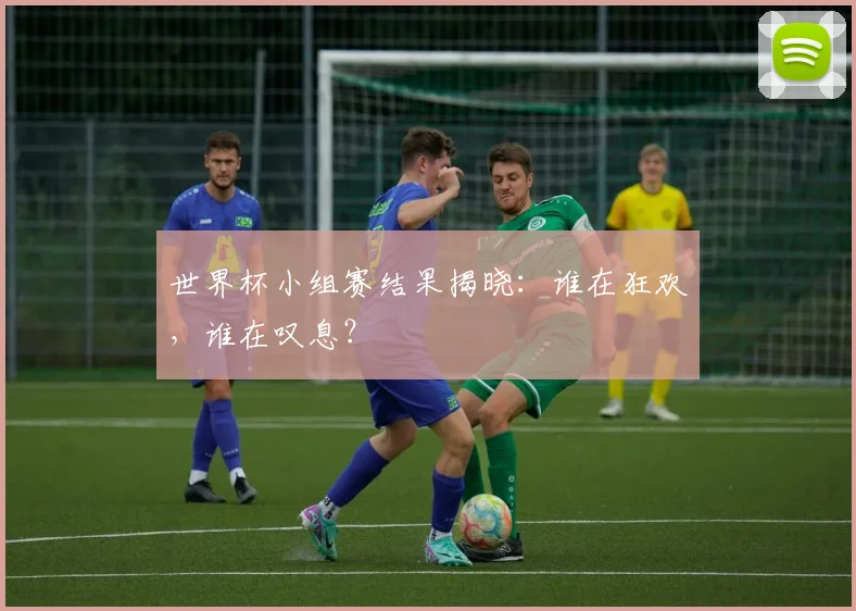 世界杯小组赛结果揭晓：谁在狂欢，谁在叹息？