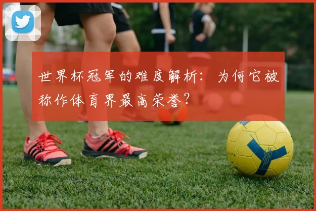 世界杯冠军的难度解析:为何它被称作体育界最高荣誉?