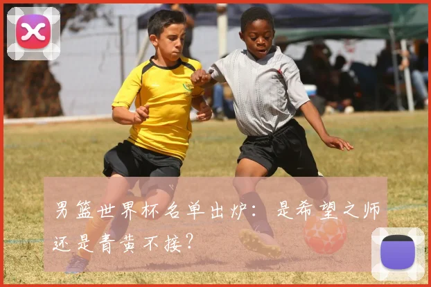 男篮世界杯名单出炉:是希望之师还是青黄不接?