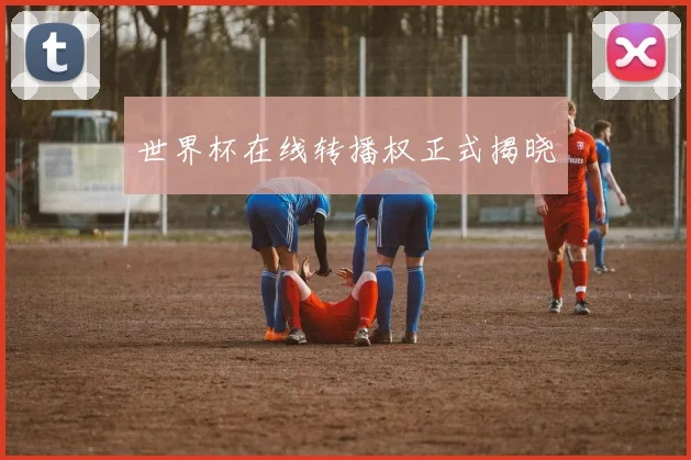 世界杯在线转播权正式揭晓